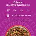 Whiskas Sucha Wołowina 14kg