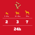 PEDIGREE Przysmak Biscrok Gravy Bones 400g