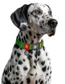 WAUDOG Obroża Mono QR Zielony S 15mm 25-35cm