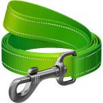 WAUDOG Smycz Nylon Mono Jasnozielona L-XXL 25mm 300cm