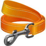 WAUDOG Smycz Nylon Mono Pomarańczowa M 20mm 300cm