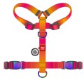 WAUDOG Szelki Gradient Guard QR L 65-95cm Pomarańcz 2 klamry
