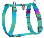 WAUDOG Szelki Gradient Guard QR S 37-47cm Niebieski 2 klamry