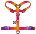 WAUDOG Szelki Gradient Guard QR S 37-47cm Pomarańcz 2 klamry