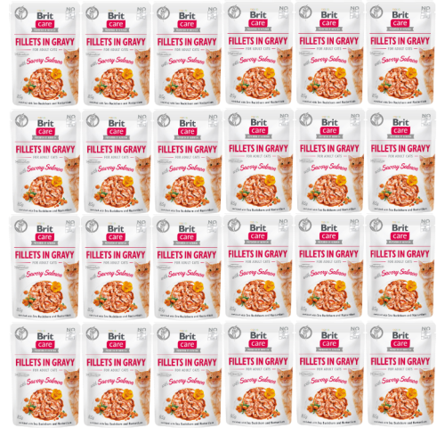 Brit Care Cat Pouch Savory Salmon 24x85g