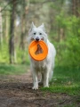 FIBOO Frisboo 25cm Pomarańczowy
