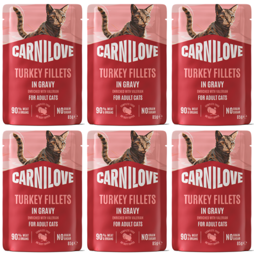 CARNILOVE Cat Pouch Gravy Turkey 6x85g