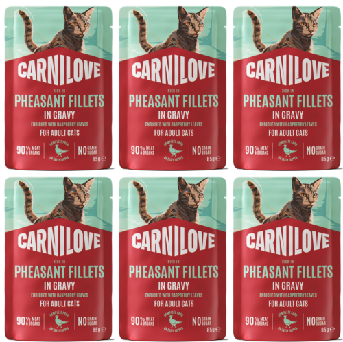 CARNILOVE Cat Pouch Gravy Pheasant 6x85g