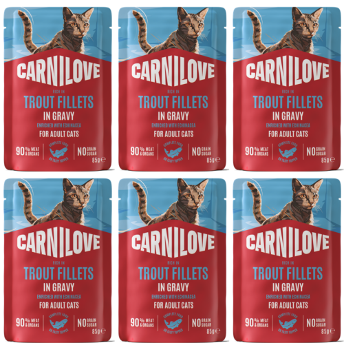 CARNILOVE Cat Pouch Gravy Trout 6x85g