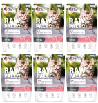 VetExpert Raw Paleo Cat Kitten Pork 6x100g