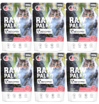 VetExpert Raw Paleo Cat Sterilised Pork 6x100g