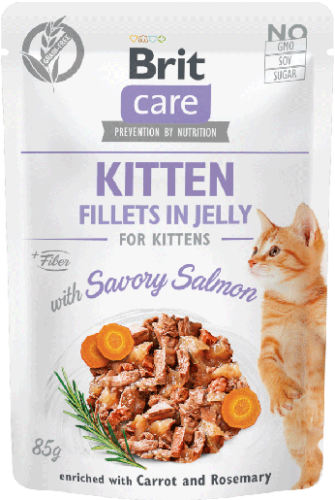Brit Care Cat Pouch Kitten Jelly Savory Salmon 85g