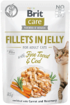 Brit Care Cat Pouch Jelly Fine Trout Cod 6x85g