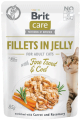 Brit Care Cat Pouch Jelly Fine Trout Cod 24x85g