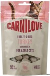 CARNILOVE Cat Snack Freeze Dried Turkey 40g