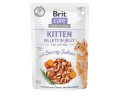 Brit Care Cat Pouch Kitten Jelly Savory Salmon 24x85g