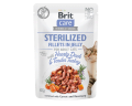 Brit Care Cat Pouch Sterilized Jelly Duck 24x85g