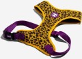 ZEE DOG Honey Szelki Air Mesh