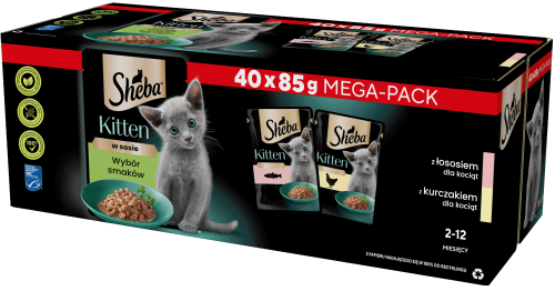 SHEBA Sos Kitten Łosoś z Kurczakiem 40x85g