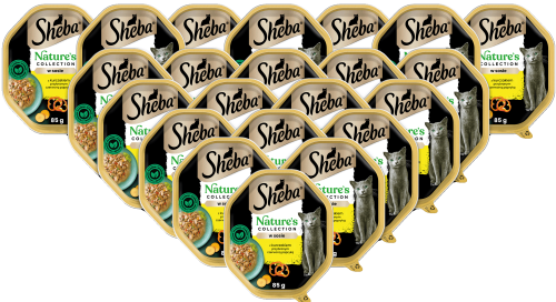 Sheba Tacka Natures Collection Sos Kurczak 22x85g