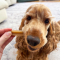 PEDIGREE DENTASTIX Daily Dental Sticks dla Małych Psów 56 Sztuk
