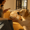PEDIGREE DENTASTIX Daily Dental Sticks dla Małych Psów 56 Sztuk