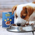 Gaczoo Miejska Miska Puppy Pulpecik Cielęcy 400g