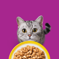 WHISKAS Variety Pack mokra karma dla kota w sosie i galaretce 40 x 85 g