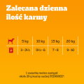 PEDIGREE Senior wybór smaków mokra karma dla psa w galaretce 40 x 100 g