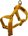 KENDOG Velvet Yellow Szelki Guard L 4cm