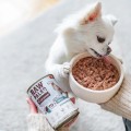 VetExpert Raw Paleo Dog Adult Kangaroo 400g