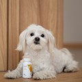 Vet Expert 50 kapsułek Multivitamin
